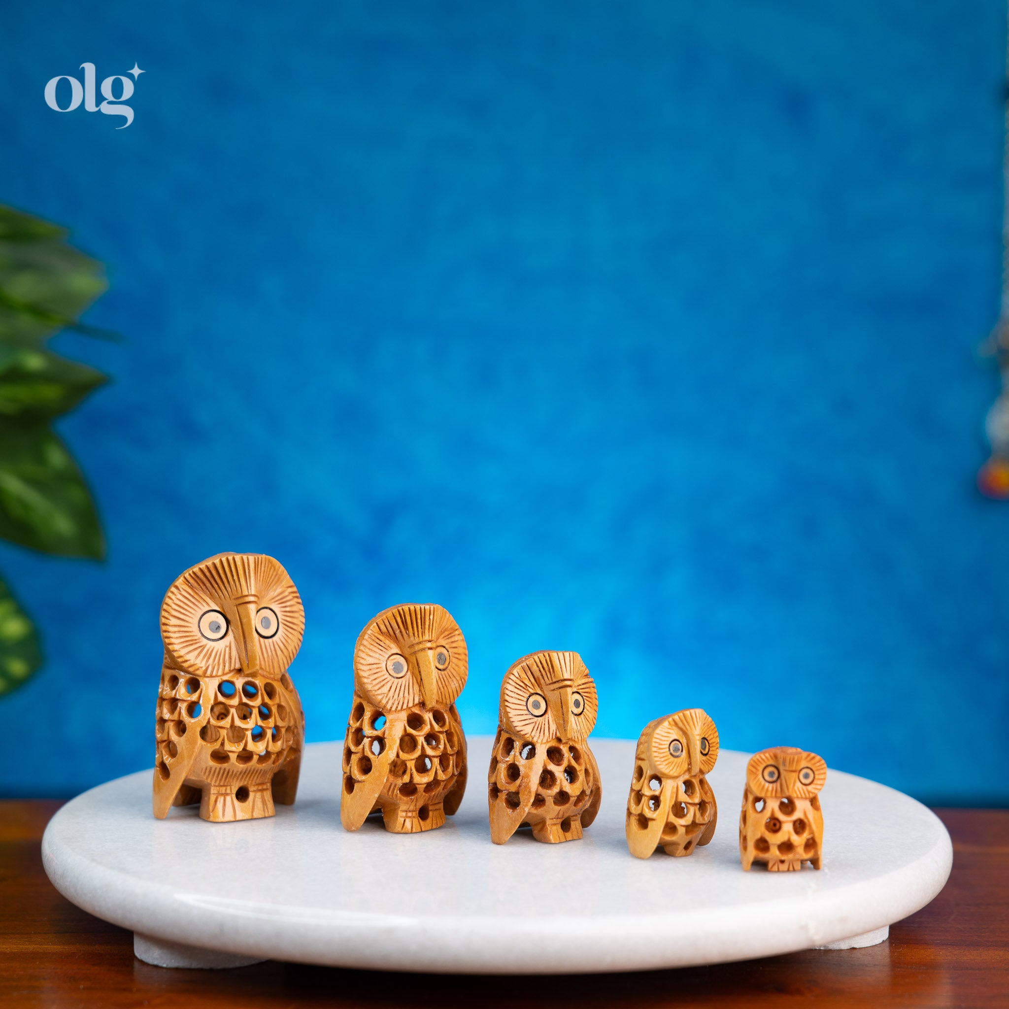 Set of 5 Hand Carved Wooden Owl Family with Jali Work